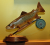 Brown Trout With Flyrod